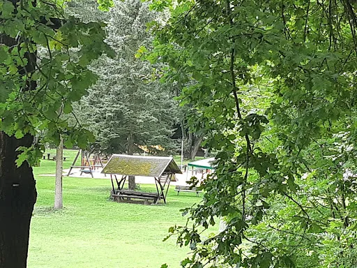 Bild von Waldseebad Königsee