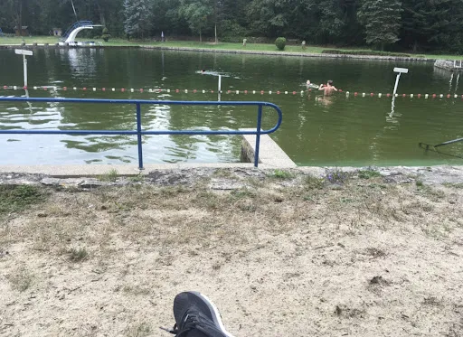 Bild von Waldseebad Königsee