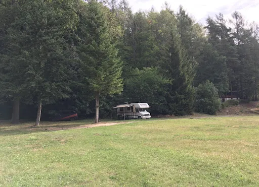 Bild von Waldseebad Königsee