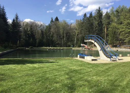 Bild von Waldseebad Königsee