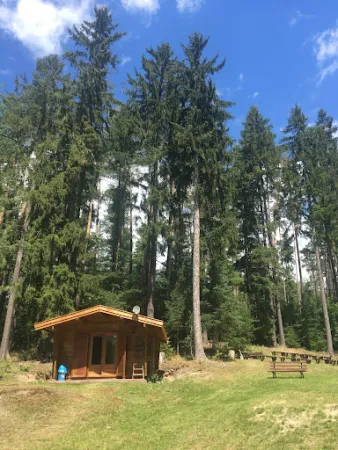 Bild von Waldseebad Königsee
