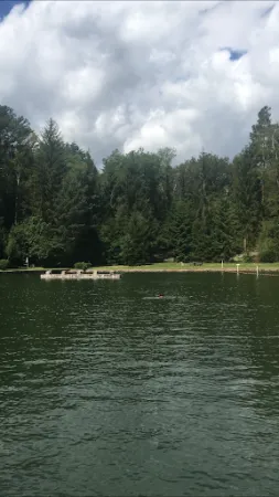Bild von Waldseebad Königsee