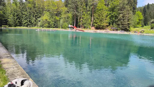 Bild von Waldseebad Königsee