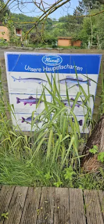 Bild von Fischhaus Rameil-Forelle e.K