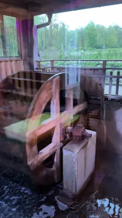 Bild von Die Mühle