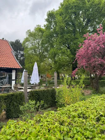 Bild von Die Mühle