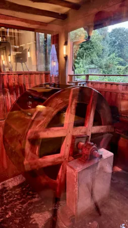 Bild von Die Mühle