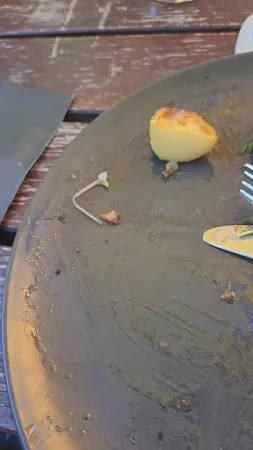 Bild von Gaststätte Döbritzer Schweiz - Robert Schaak