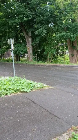 Bild von Wilde Ente Iserlohn