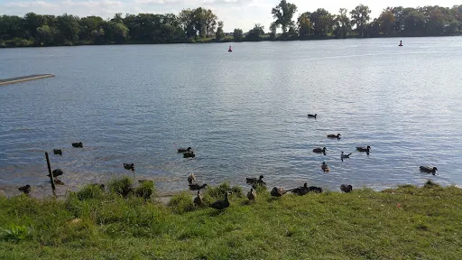 Bild von Gaststätte Bootshaus