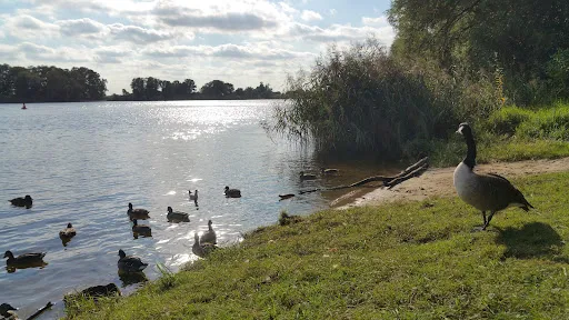 Bild von Gaststätte Bootshaus