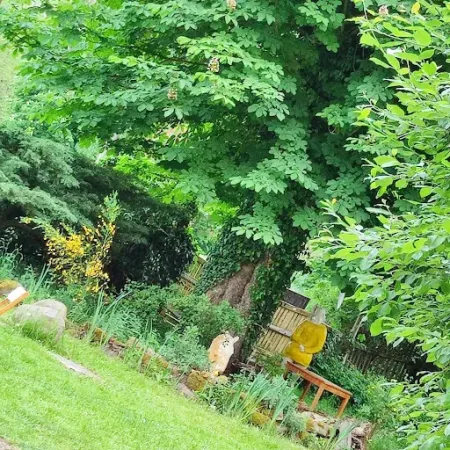 Bild von Villa Weidig