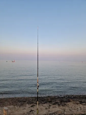 Bild von Ostsee Camping Seekamp