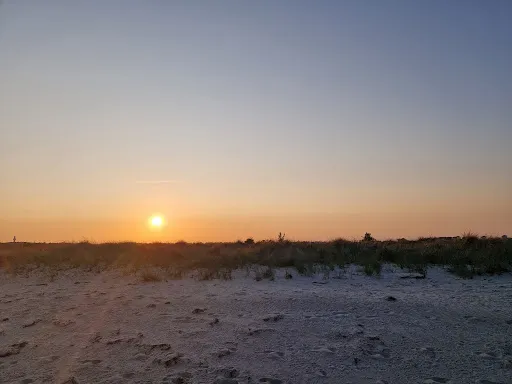 Bild von Ostsee Camping Seekamp