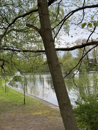 Bild von Restaurant Seepavillon Güster