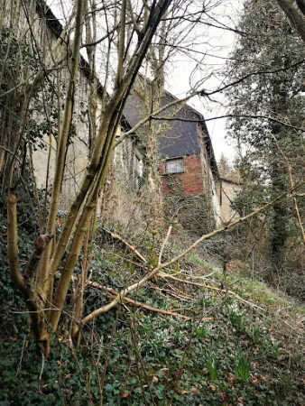 Bild von Alte Mühle Stein-Wingert