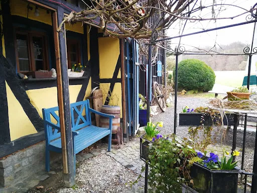 Bild von Alte Mühle Stein-Wingert