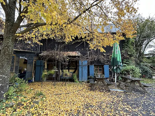 Bild von Alte Mühle Stein-Wingert