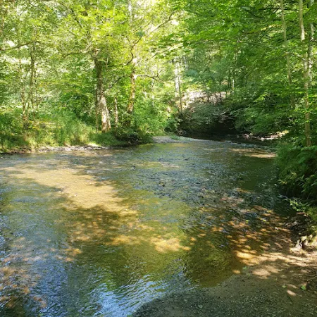 Bild von Marienstatter Brauhaus