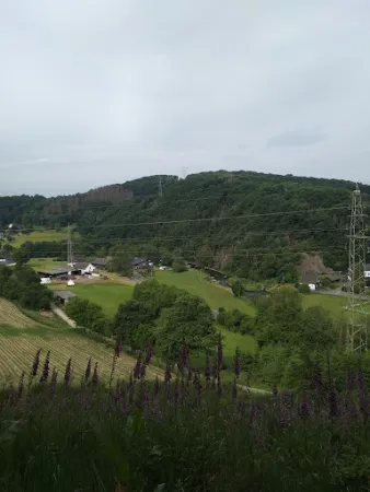 Bild von Zum Hahnhof
