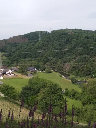 Bild von Zum Hahnhof