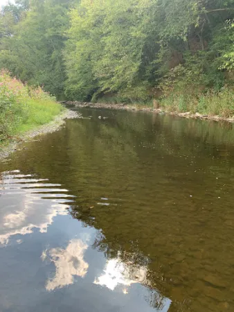 Bild von Zum Hahnhof