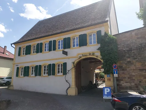 Bild von Knipsers Halbstück