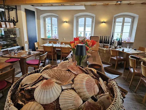Bild von Knipsers Halbstück
