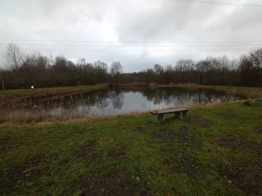 Bild von ASV Fischerhütte