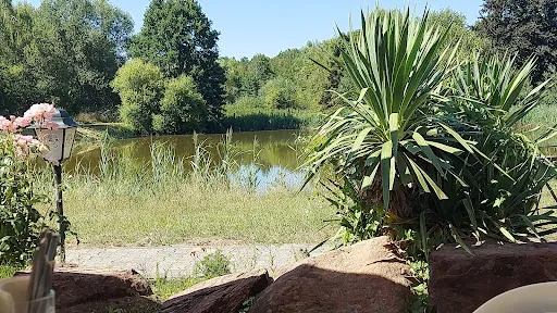 Bild von ASV Fischerhütte