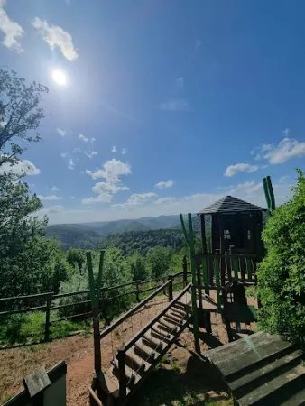 Bild von Jung-Pfalz Hütte