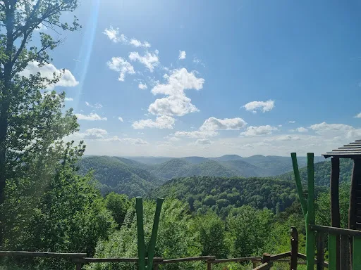 Bild von Jung-Pfalz Hütte