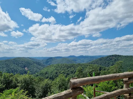 Bild von Jung-Pfalz Hütte
