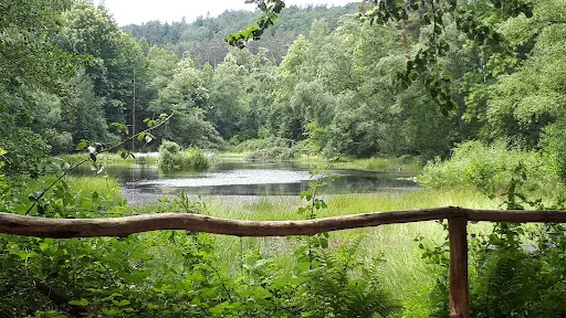 Bild von Weisenheimer Hütte