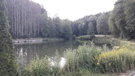 Bild von Landgasthaus Weiherhütte