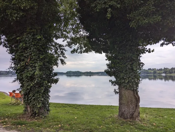 Bild von undefined