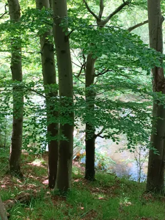 Bild von Oppendorfer Mühle