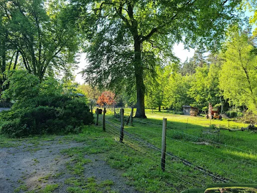 Bild von Waldcafé & Biergarten Meyers Hausstelle