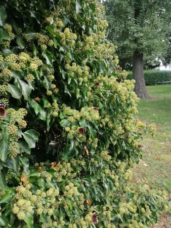 Bild von undefined