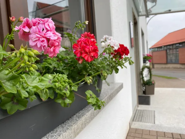 Bild von undefined
