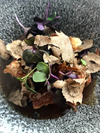 Bild von AQARIUM Restaurant