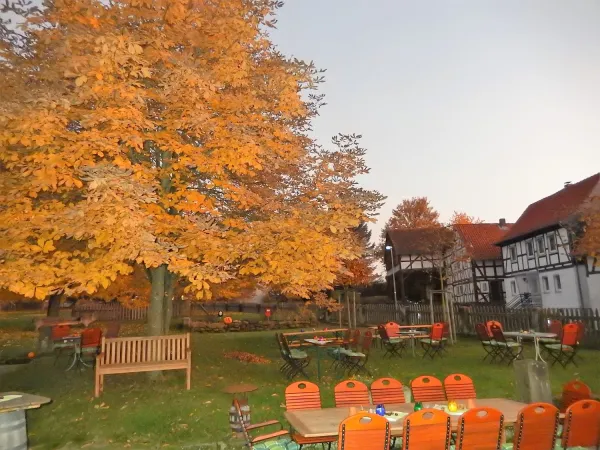 Bild von undefined