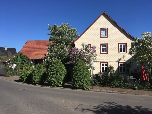 Bild von undefined