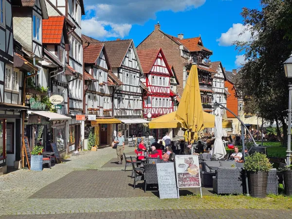 Bild von undefined