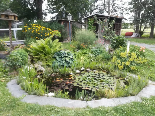Bild von undefined