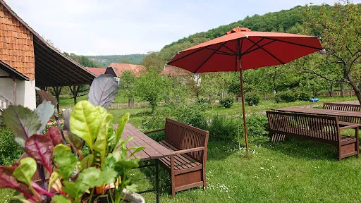 Bild von Hof Sickenberg - Bioland Café