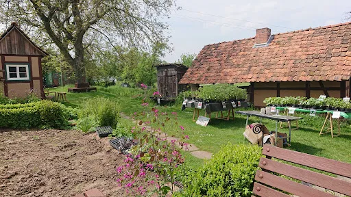 Bild von Hof Sickenberg - Bioland Café