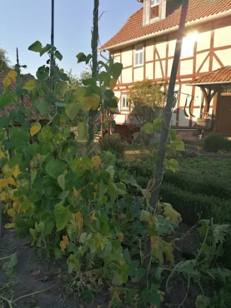 Bild von Hof Sickenberg - Bioland Café