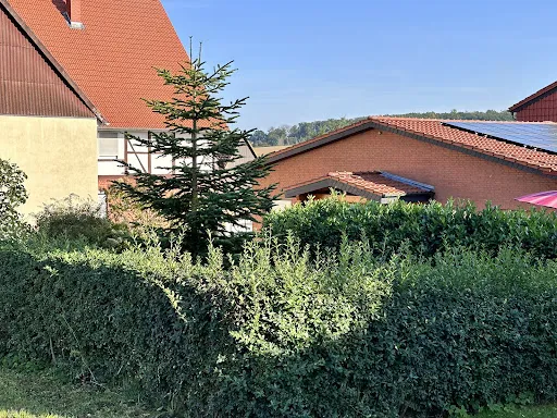 Bild von Gasthof Schulze