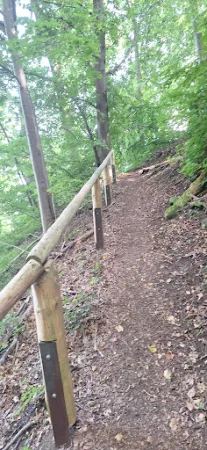 Bild von Waldgasthof Westerburg